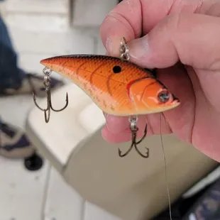 Free Fishing Lure