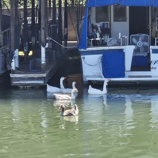 Boat slip area