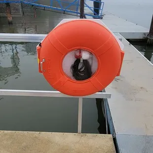 S-A-F-E-T-Y First