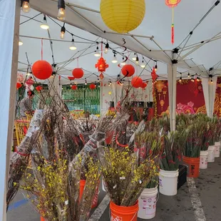 a variety of flower arrangements