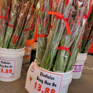 buckets of flowers for sale