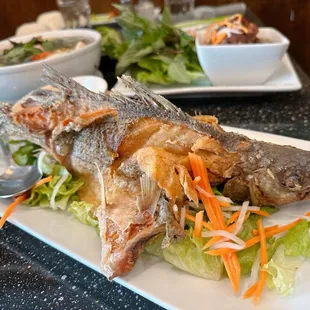 a fish on a bed of lettuce and carrots