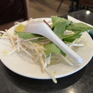 noodle soup, noodles, food, ramen, noodle dish, ramen and noodles