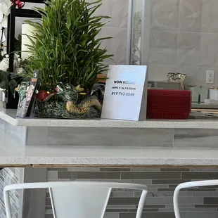 a counter with a plant on it
