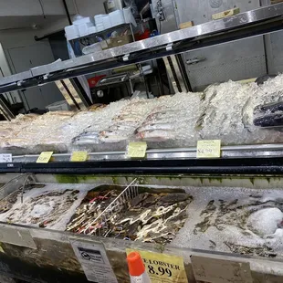 seafood on display