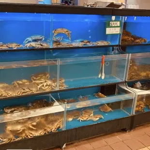Seafood Galore!!
