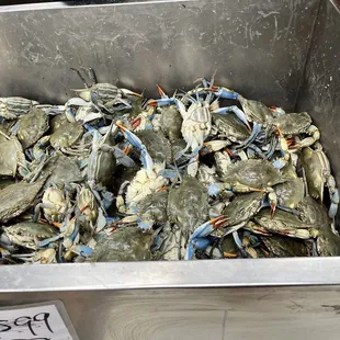 Fresh blue crab (live)