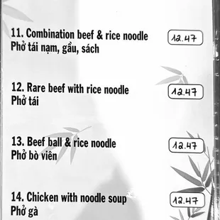 beef noodle soup
