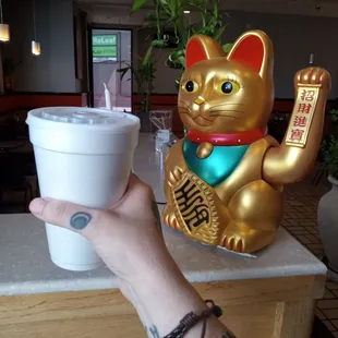 Iced coffee with milk here is a real treat!