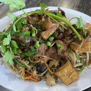 Stir Fry Tofu &amp; Pork Noodles