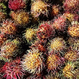 What a great deal today- 15 lbs of rambutan for only $10!!!