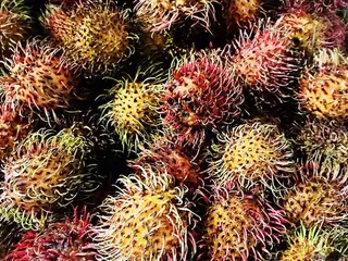 Viet My Market