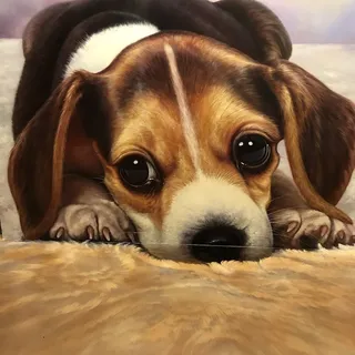 Hai T.