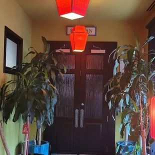 a hallway with potted plants