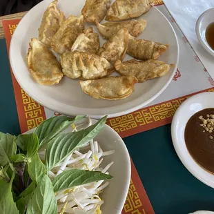 Dumplings, Gyoza