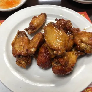 Oyster Wings
