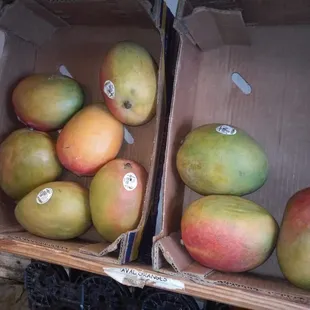 Mango $2 each
