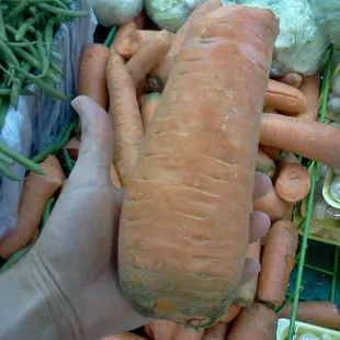 Now that&apos;s a carrot!