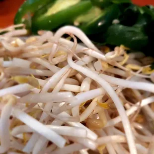 Pho fixin&apos;s - bean sprouts, basil, cilantro, sliced jalapeño, lime