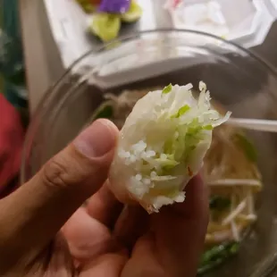 spring roll