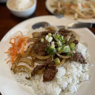 a plate of rice with beef and onions