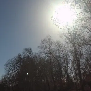 Shining sun thru the brush and trees