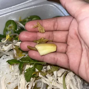 Old celery