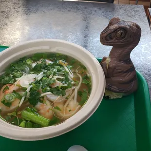 Bob the Raptor says &quot;I see you Shrimp Prey!&quot;