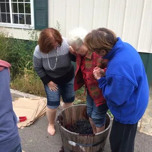 Stomping grapes