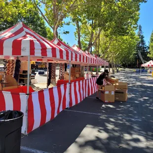 Family day Carnival for a client. Team of 10 showed up to create the magic for hundreds of families