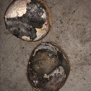 two dirty dishes on the floor