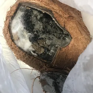 the inside of a coconut shell