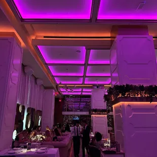 a dining room with purple lighting