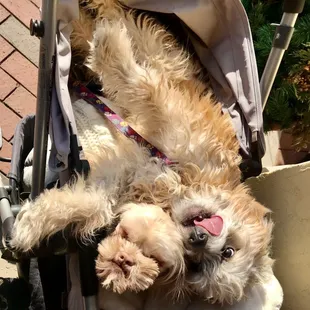 One of the vendor's assistants