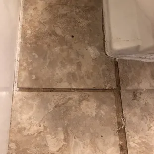 Bathroom tiles that became undone 2022