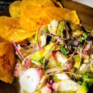 Octopus Ceviche