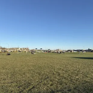 Field in front of playground