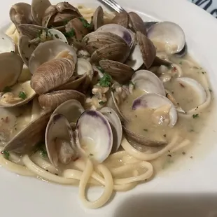 a plate of pasta with clams