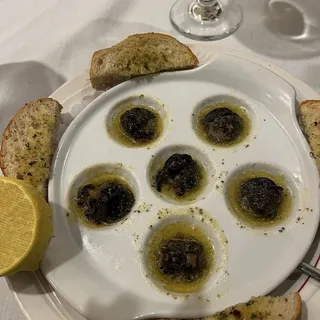 Lumache