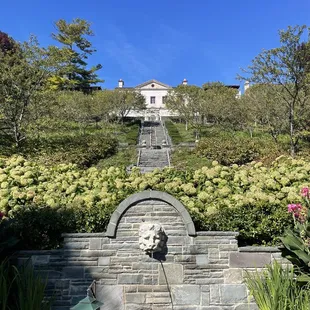 View of back of museum