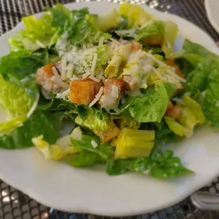 Caesar salad