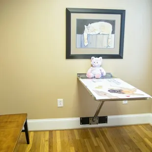 Cat Only Exam Room