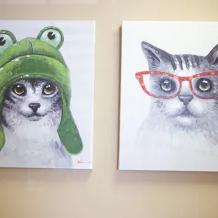 Certified Feline Friendly Practice
