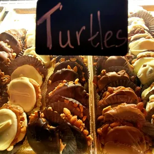 Turtles chocolate