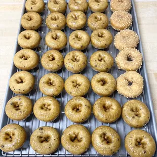 Blueberry donuts