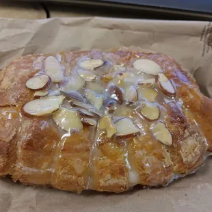 Bear claw up close and personal