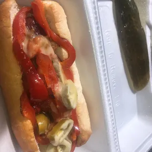 Mexican Spicy Dog..  delicious, spicy and filling.