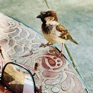 My little friend visited my table