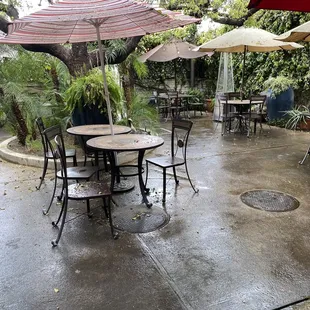 Outside patio with lights and greenery surrounding.