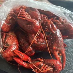 oysters, food, shellfish, oysters and mussels, mussels